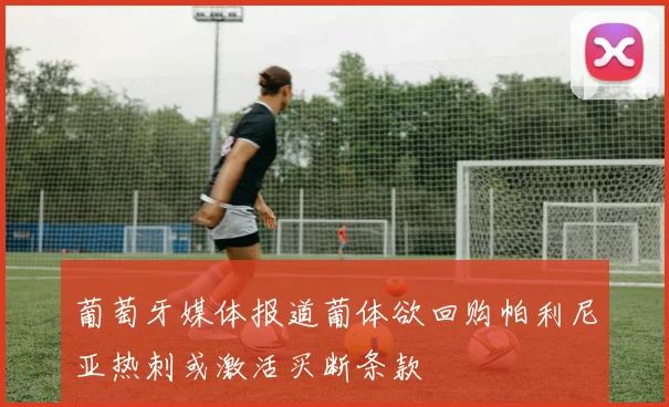葡萄牙媒体报道葡体欲回购帕利尼亚热刺或激活买断条款