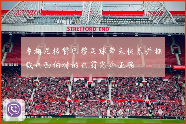鲁梅尼格赞巴黎足球带来快乐并称裁判西伯特的判罚完全正确